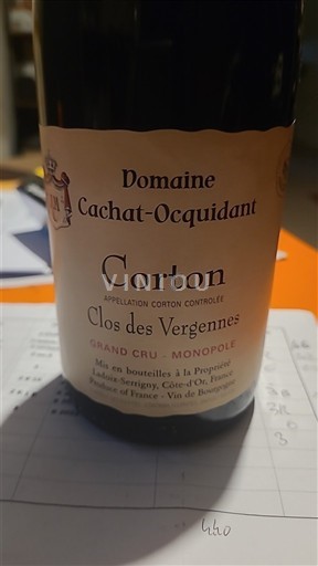 Burgundia Corton Grand Cru Domaine Cachat-Ocquidant Clos des Vergennes 2023