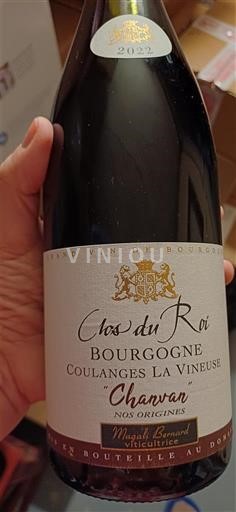 Bourgogne Ikke specificeret Clos du Roi Chanvan 2022