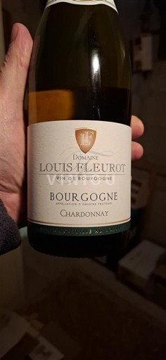 Bourgogne Domaine Louis Fleurot 2023