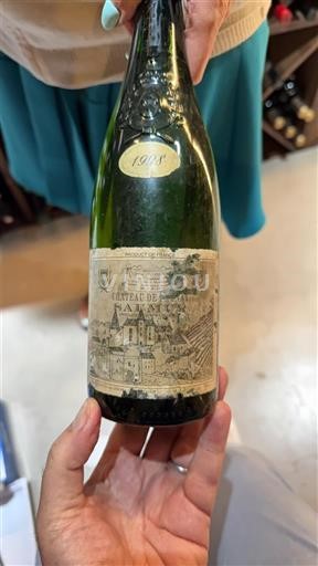 Loiren laakso Saumur Château Parnay 1998