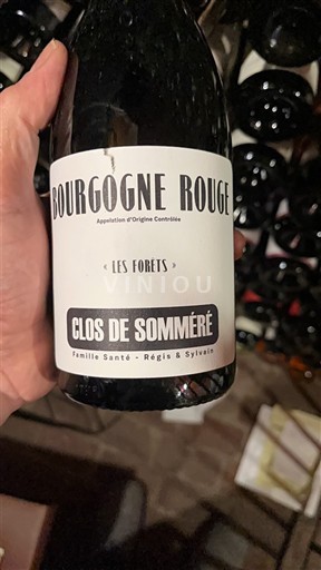 Bourgondië Bourgogne Clos de Somméré Les Forêts 2023