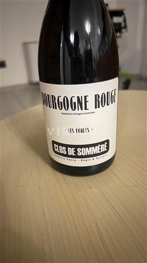 Weine Rouge sec Les Forêts Clos de Somméré 2023 Frankreich Burgund AOC