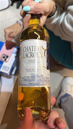 Sydvestfrankrig Gaillac Château Lacroux Vigne du Lisy 2016