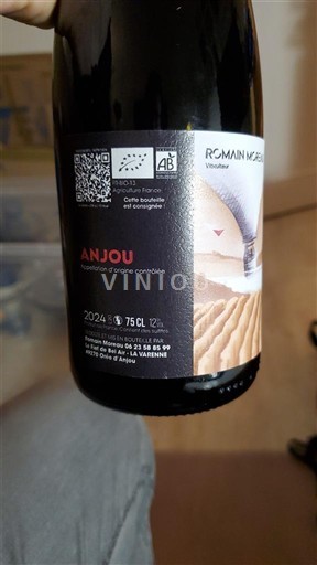 Loire Valley Anjou Romain Moreau 2024