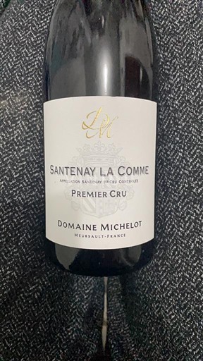 Borgogna Santenay Premier Cru Domaine Michelot Santenay La Comme 2018