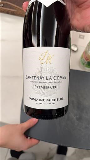 Burgundy Santenay Premier Cru Domaine Michelot Santenay La Comme 2018