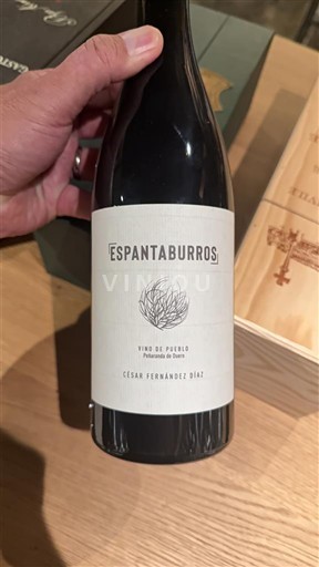 Castilië-La Mancha Manchuela César Fernández Díaz Espantaburros Niet-geïntegreerd