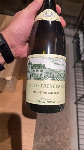 Burgundsko Chablis Premier Cru Domaine Billaud-Simon Mont de Milieu 2019