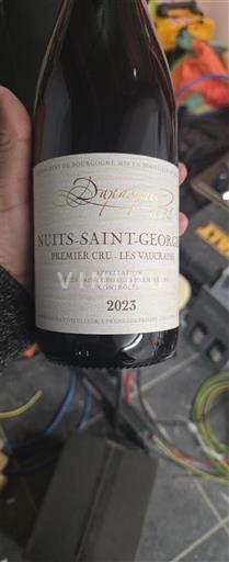 Burgundy Nuits-Saint-Georges Premier Cru Dupasquier Premier Cru Les Vaucrains 2023