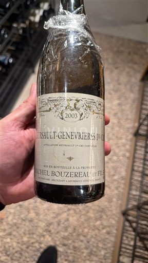 Burgund Nicht spezifiziert Premier Cru Michel Bouzereau et Fils 2003