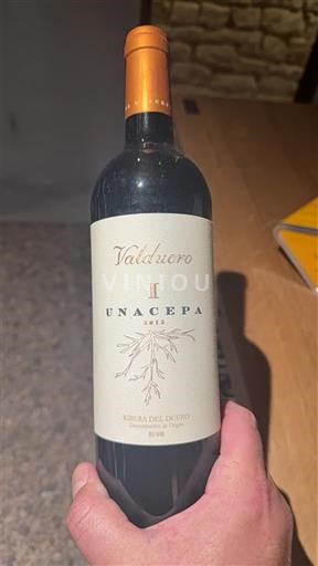 Castilien og León Ribera del Duero Valduero Una Cepa 2015