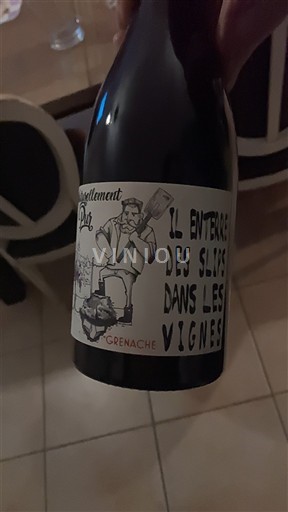 Languedoc Ospecificerad Gentiment Pat Il enterre des slips dans les vignes 2021