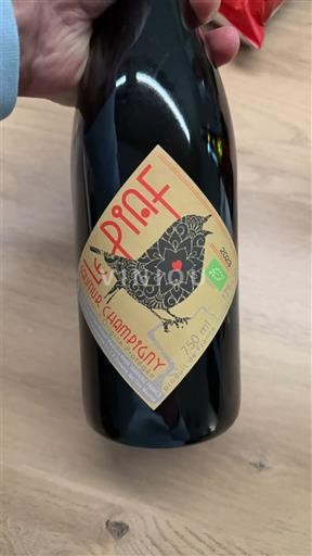 Thung lũng sông Loire Saumur-champigny Domaine Ampelidae Pinot 2023