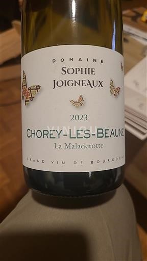 Bourgogne Chorey-lès-beaune Domaine Sophie Joigneaux La Maladerotte 2023