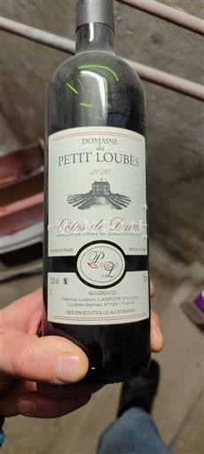 Sud-Ouest Côtes-de-duras Domaine Petit Loubès 2022