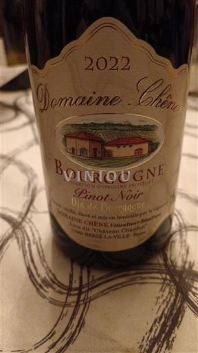 Burgundi Bourgogne Domaine Chêne 2022