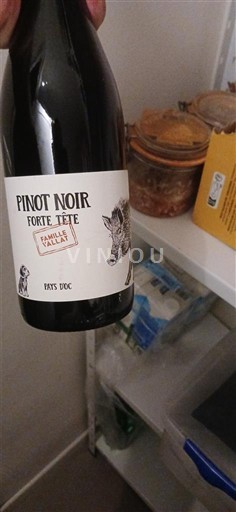 Languedoc y Rosellón País de Oc Famille Vaillars Forte Tête 2021