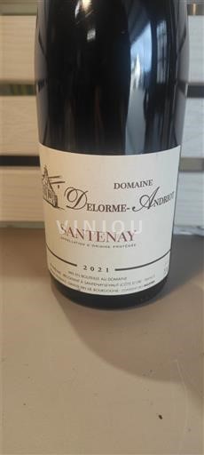Bourgogne Santenay Domaine Delorme-Andriot 2021