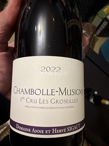 Bourgogne Ospecificerad Premier Cru Domaine Anne et Hervé Sigaut 1er Cru Les Groseilles 2022