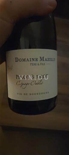 Burgundi Beaunen Ylämaat Domaine Mazilly Père & Fils Pinot Beurot Cépage Oublié 2023