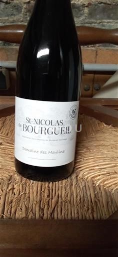 Loire-dalen Saint-Nicolas-De-Bourgueil Domaine Des Maulins 2022
