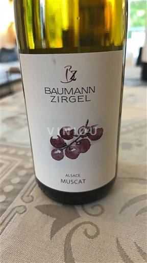 Alzacija Muškat Baumann Zirgel 2022