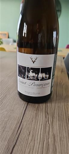 Dolina Loare Saint-Pourçain Domaine Rond Neleten.