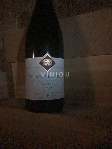 Burgundy Nuits-Saint-Georges Domaine Daniel Rion Et Fils Les Grandes Vignes 2017