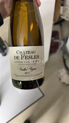 Dolina Loare Кото де Лејон Château Fesles Vieilles Vignes 2017