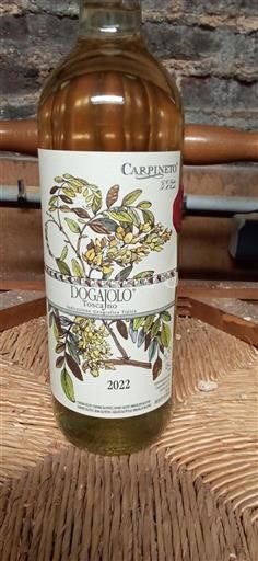Tuscany Not Specified Carpineto Dogajolo Bianco 2022