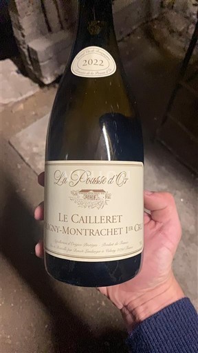 Bourgogne Premier Cru La Pousse Or Le Cailleret 2022