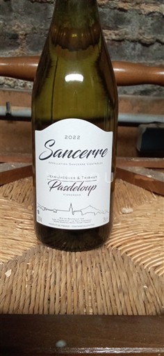 Valle del Loira Sancerre Jean-Jacques & Thibaut Pasdeloup 2022
