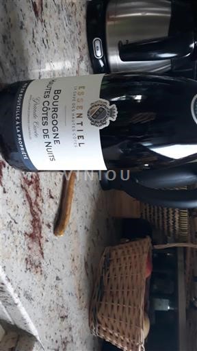 Bourgogne Ikke specificeret La Propriété Essentiel 2023