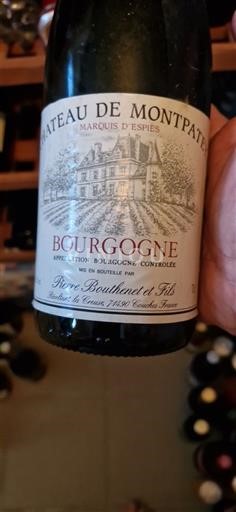 Borgogna Château Montpatey Marquis d'Espies 2000