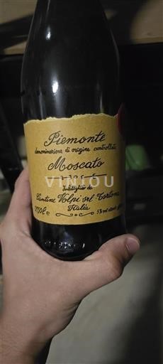 Piemonte Không được chỉ định Cantine Volpi Không niên vụ