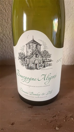 Burgundi Bourgogne Aligoté Domaine Bouhélier & Fils 2017
