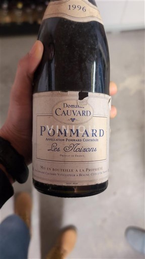 Bourgondië Pommard Domaine Cauvard Les Noizons 1996