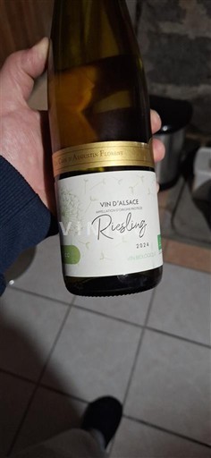 Alsazia Non specificato Arthur Metz 2024