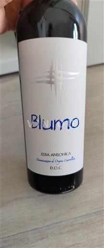 Toscana Määrittelemätön Blumo 2024