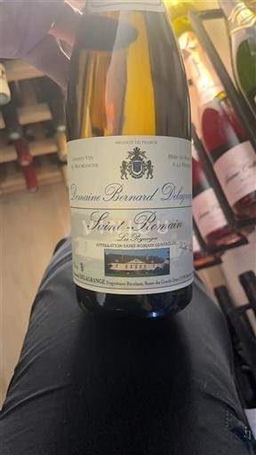 Bourgogne Saint-Romain Domaine Bernard Delagrange Les Forgenes 2023