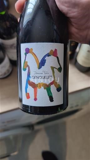 Dolina Loare Domaine Tatin Genouillet 2022