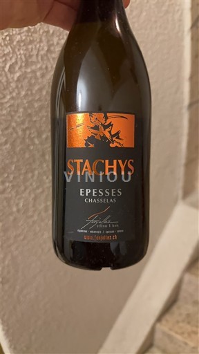 Vaud Lavaux ZGP Etienne et Louis Fonjallaz Stachys 2013