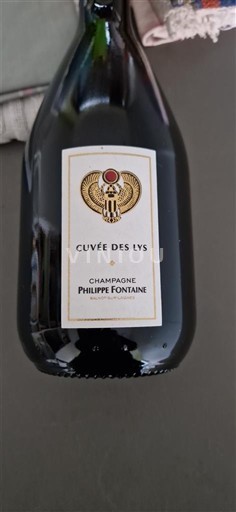 Champagne Philippe Fontaine des Lys 2019