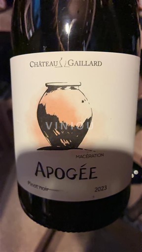Dolina Loare Château Gaillard Apogée Macération 2023