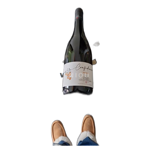 Savoia e Bugey Savoia (vino di) Cave de Chautagne Malvoisie 2024