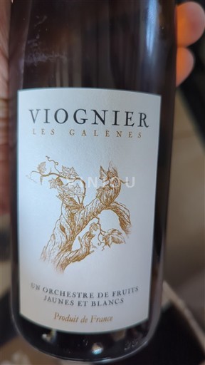 Dolina Loare Dunaj Les Galenes 2024