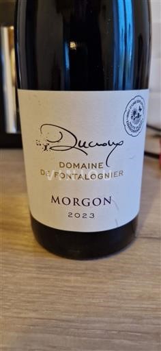 Beaujolais Morgon Domaine Fontalognier 2023