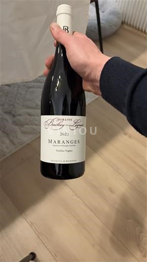 Burgundy Maranges Domaine Bachey-Legros Vieilles Vignes 2023