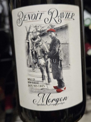Beaujolais Morgon Benoît Ravier 2023