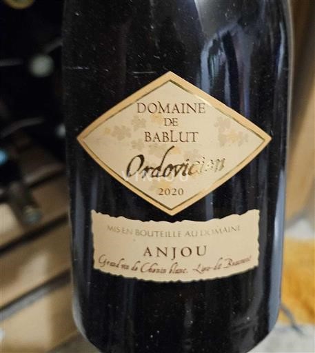 Loiretal Anjou Domaine Bablut Ordovicien 2020